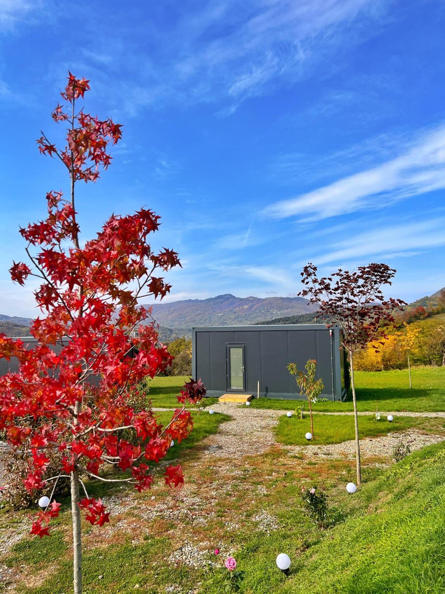 Flandra Glamping Hotell Corbeni Exteriör bild