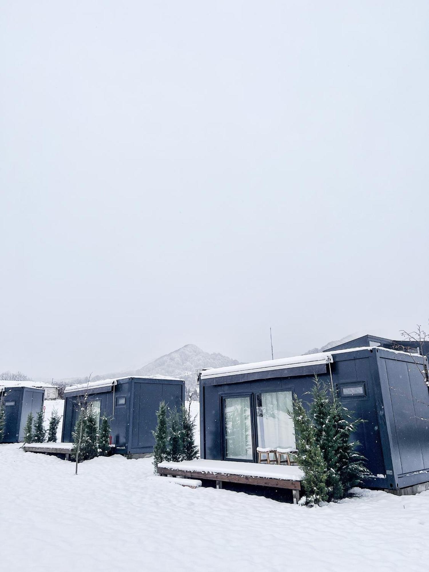 Flandra Glamping Hotell Corbeni Exteriör bild